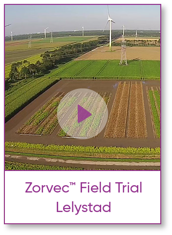 Field Trials Lelystad